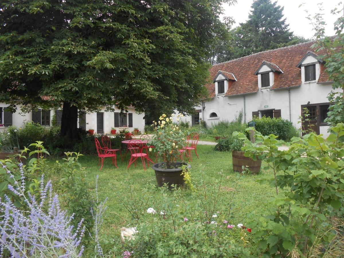 B&B La Ferme Des Bordes Pontlevoy Εξωτερικό φωτογραφία