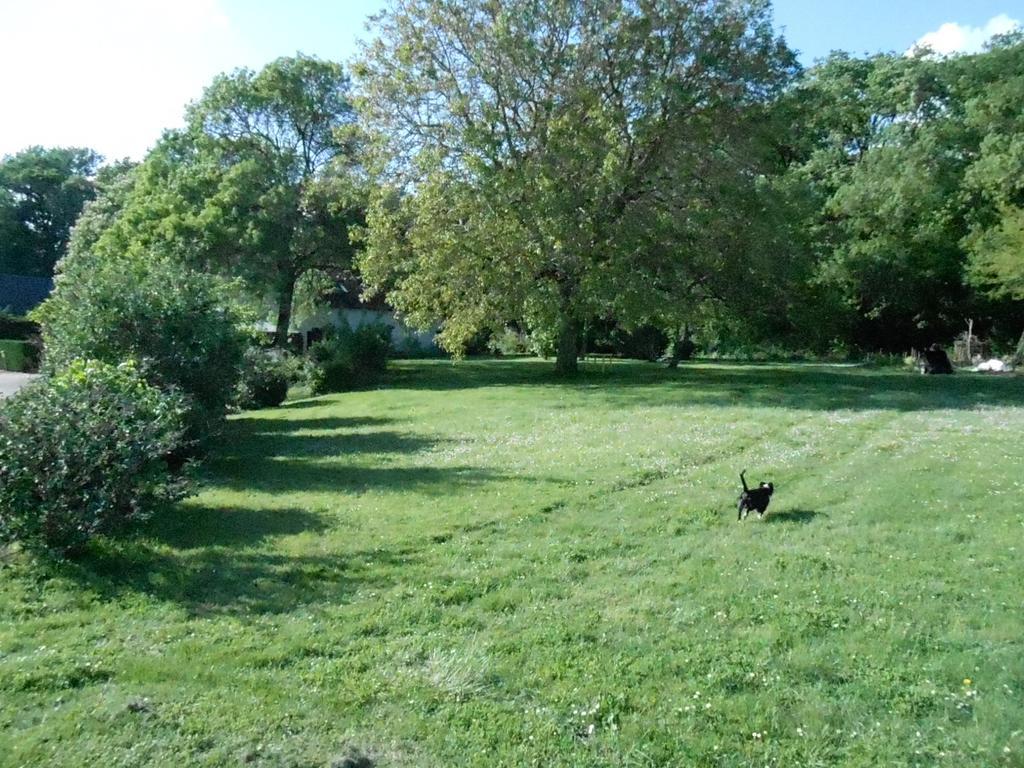 B&B La Ferme Des Bordes Pontlevoy Εξωτερικό φωτογραφία